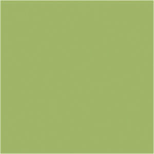 Formica Leaf Green F8820 Laminated Boards