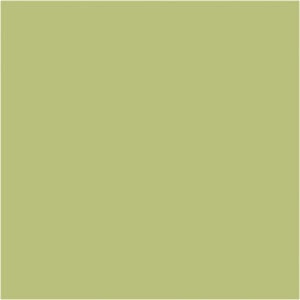 Formica Pale Olive F3007 Laminated Boards